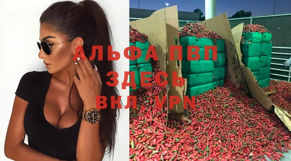 индика Алексеевка