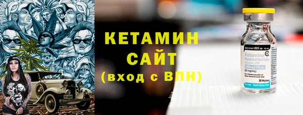 гидра Елизово