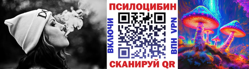 купить закладку  Полтавская  shop наркотические препараты  Псилоцибиновые грибы MAGIC MUSHROOMS 